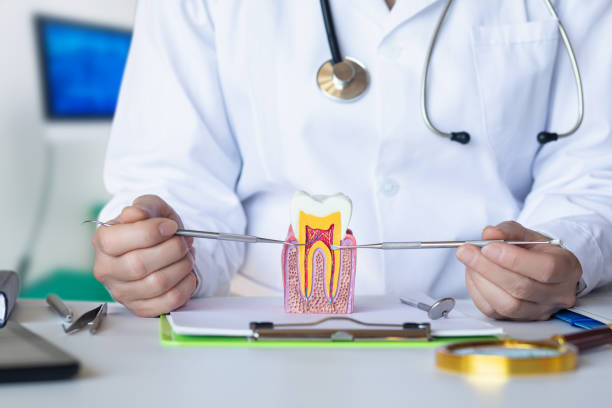 Best Emergency Dental Surgery in Hale Center, TX